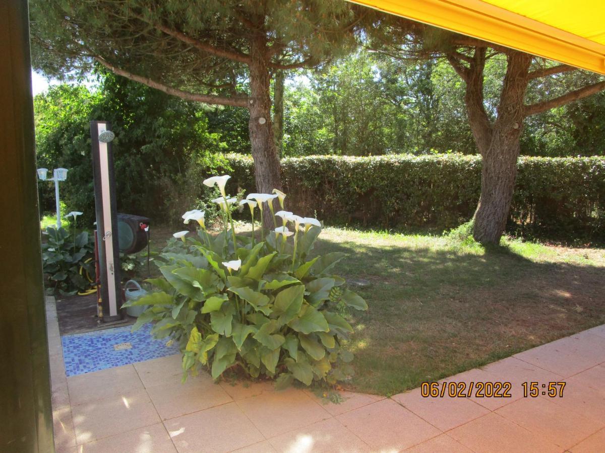 Locatlantique Bed & Breakfast Aytre Luaran gambar